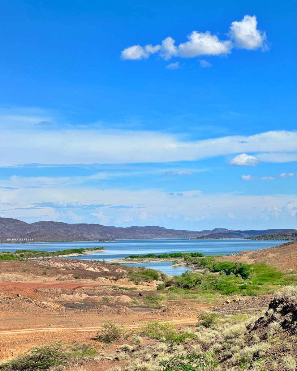 Awash River - Tendaho Dam Afar #CaptureEthiopia #Ethiopia #VisitEthiopia #LandOfOrigins