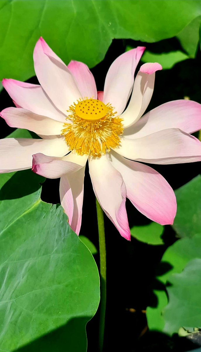 StarToursOman1's tweet photo. Email:info@startoursoman.com
WhatsApp:9890 2903
What are you waiting for BOOK NOW with Star Tours Oman!
#startoursoman #flowers r #GetYourGuide #besttourguide #traveltheworld #travelexperience #travelling #travellovers #travelagency #hikingadventures #visitoman @followers https://t.co/sceILDXnxS