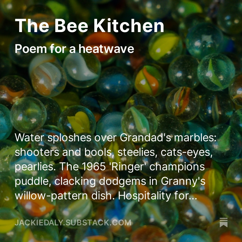 The Bee Kitchen - poem for a heatwave
open.substack.com/pub/jackiedaly…