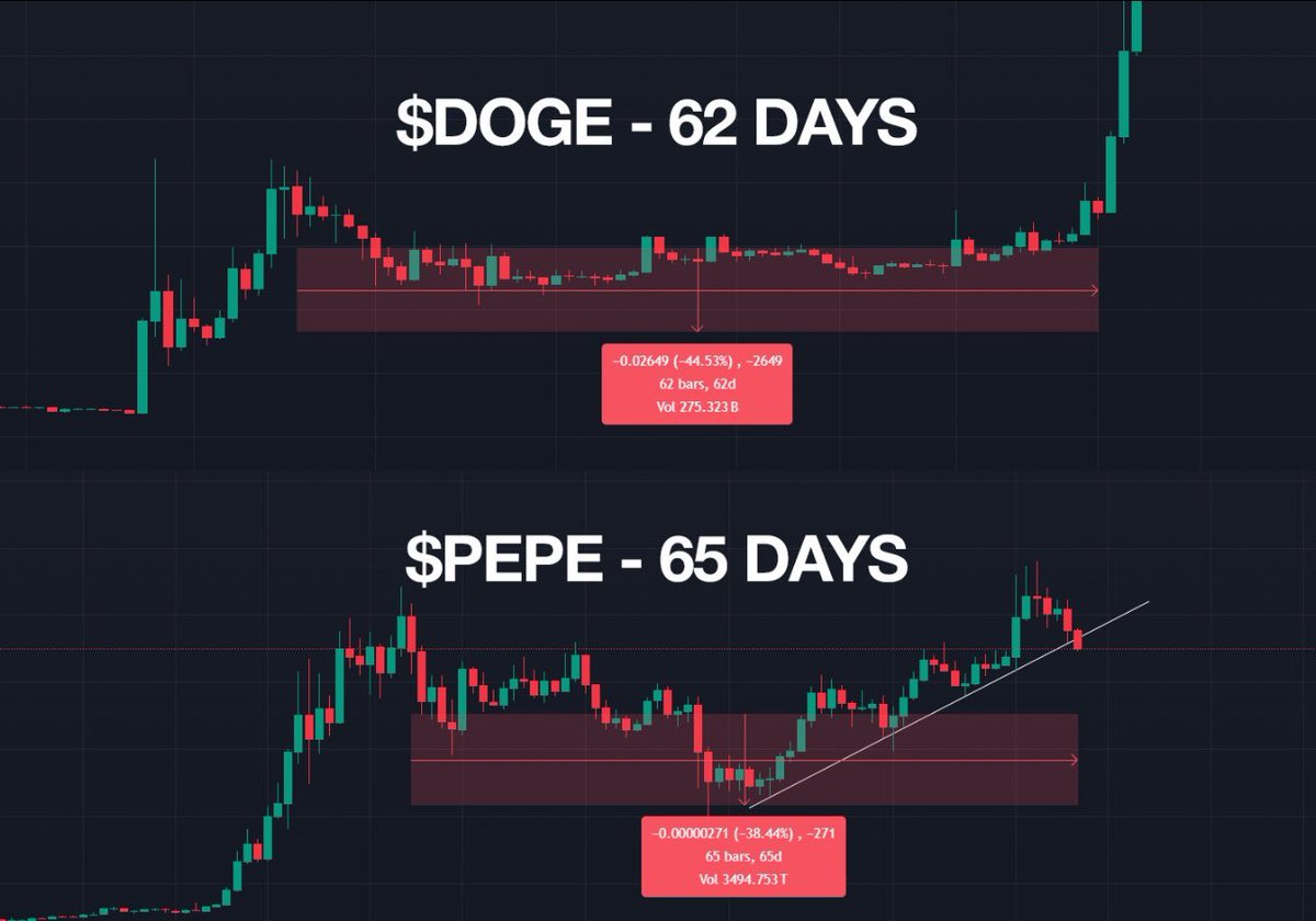 Rexha 🐸 tweet media
