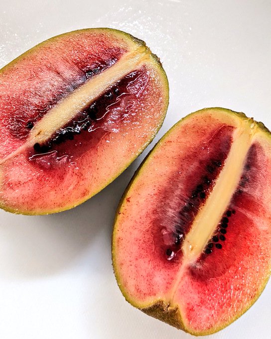 ルビーレッドキウイ、めっちゃ甘くて美味しい!ゴールデンと一緒で毛が無いから皮ごと食べちゃう😍 