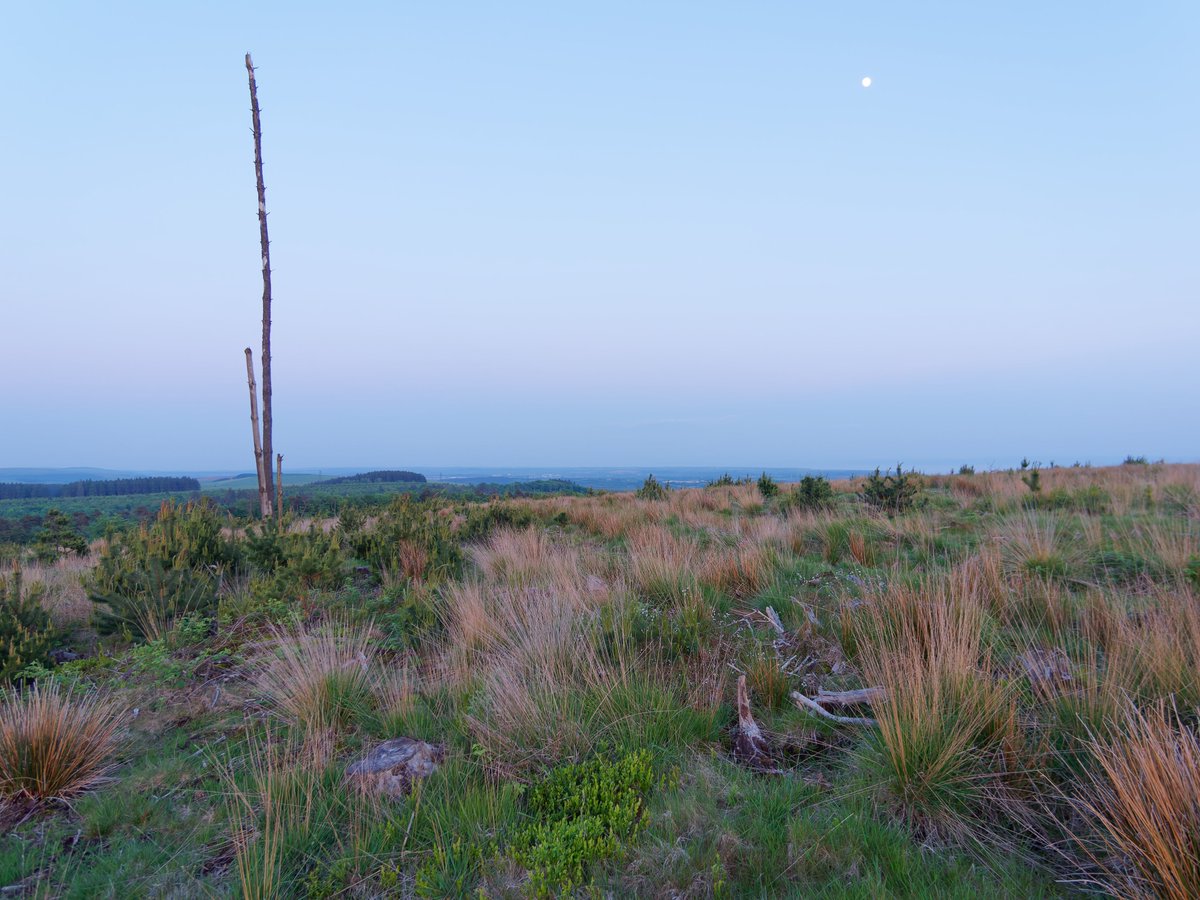 Paul Roberts tweet media