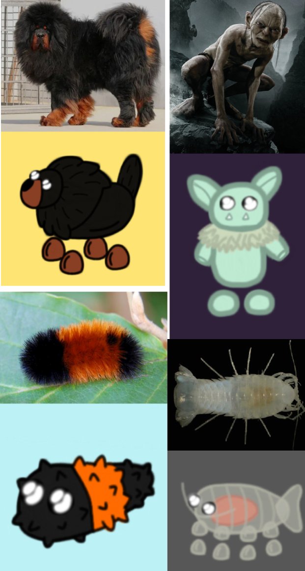 What do u think about the following representations that I made as Adopt Me pets?
- Tibetan Mastiff
- Gollum 
- Bear Caterpillar
- Cirolanid Isopod
:P

#AdoptMe #adoptmeconcept #adoptmepets #adoptmetrades #adoptmeart #adoptmeconcepts #adoptmeideas