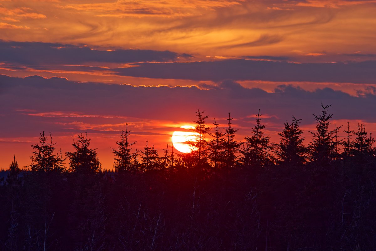 Paul Roberts tweet media