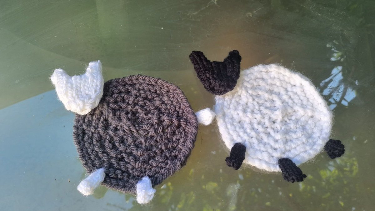 Happy #InternationalTeaDay Here are some my Sheep coasters I knitted last year. Perfect for putting your cuppa on 🐑