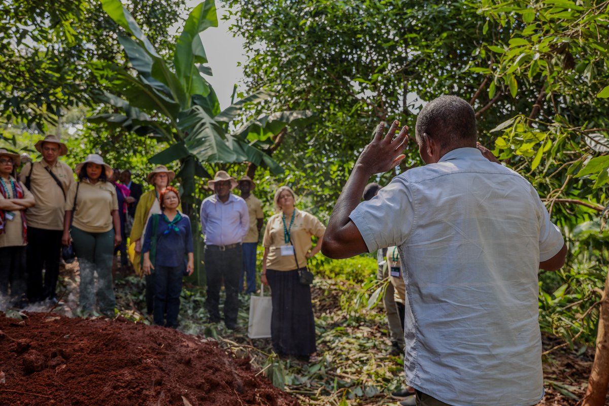 CIFOR-ICRAF tweet media