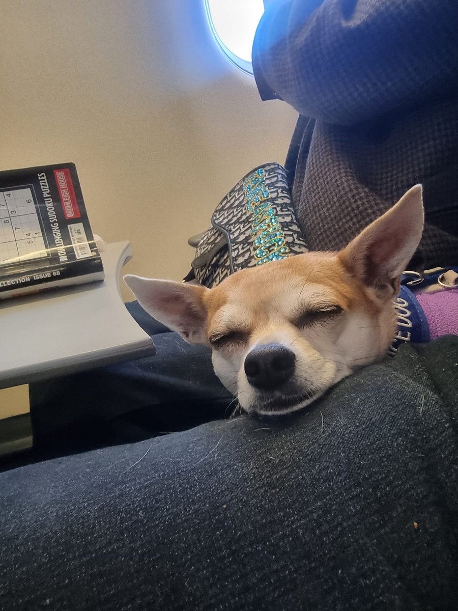 Dutch Michaels tweet media