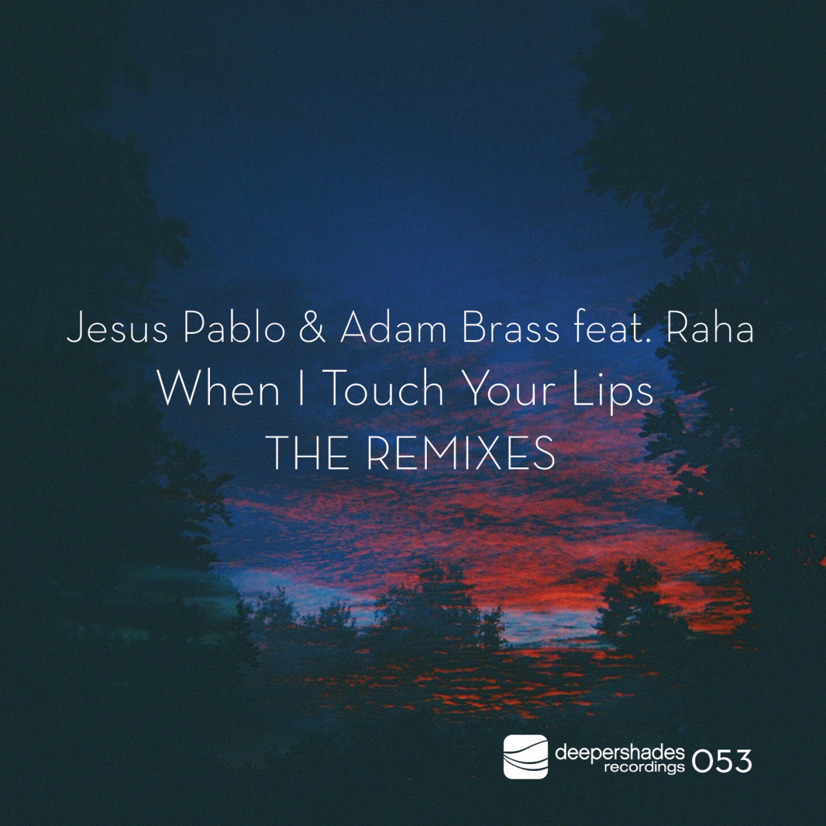 #nowplaying on radio.deepershades.net : Jesus Pablo & Adam Brass ft. Raha - When I Touch Your Lips (Dub Mix) #deephouse #livestream #dsoh #housemusic