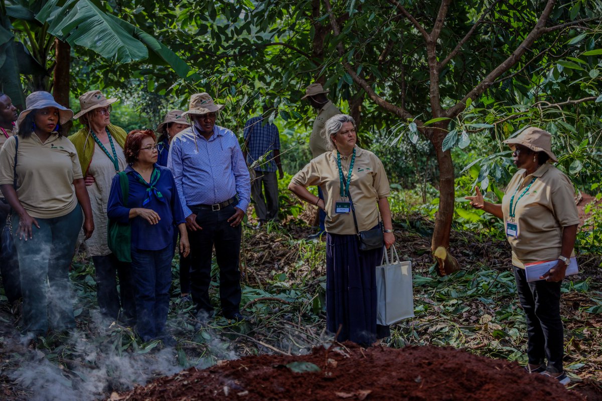 🧵Thread (1/3) Day 1⃣ of the CIFOR-ICRAF Board of Trustees Meeting offered board members the opportunity to participate in two field visits: 🥑Site 1: The Fruit Trees for Climate Change project Here, they met farmer Gideon Murai, a beneficiary of the @ACIARAustralia-funded