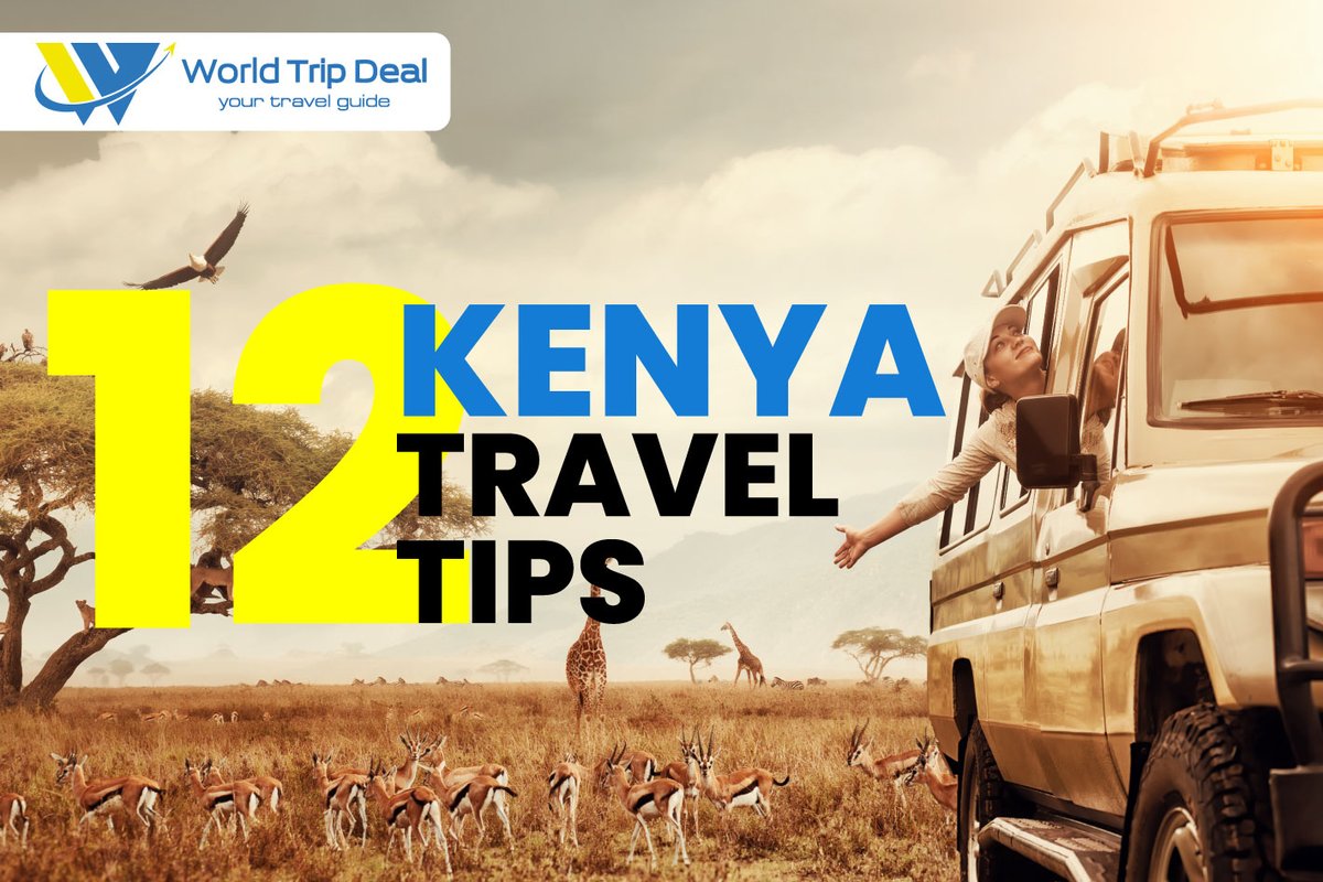 Ready for your Kenyan adventure? Here are 5 essential tips to make your journey unforgettable! 🌍✈️#WorldTripDeal #TravelKenya #KenyaTips #WTD 👉tinyurl.com/yc675nae