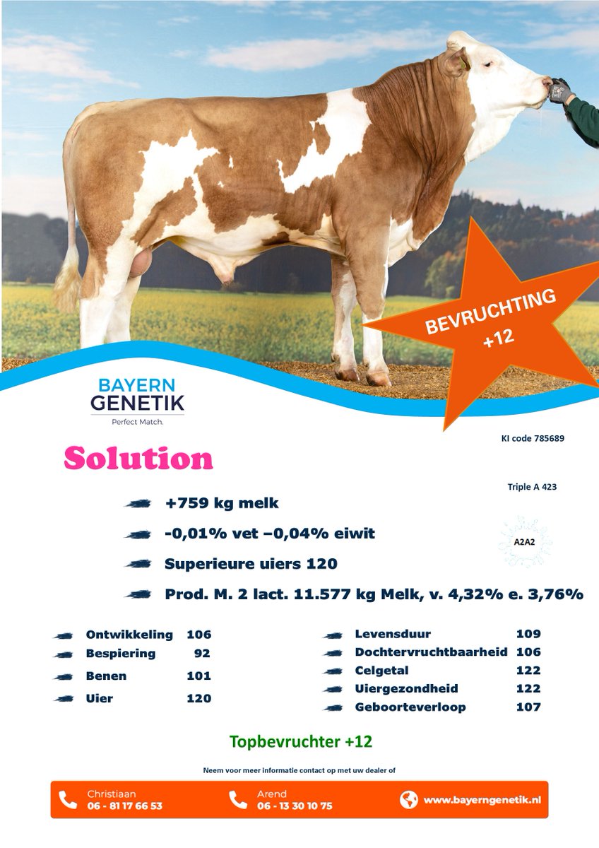 Problemen met vruchtbaarheid bij uw koeien?

Gebruik Solution -> bevruchting +12

#melkvee #Fleckvieh #stier #fokstier #vruchtbaarheid