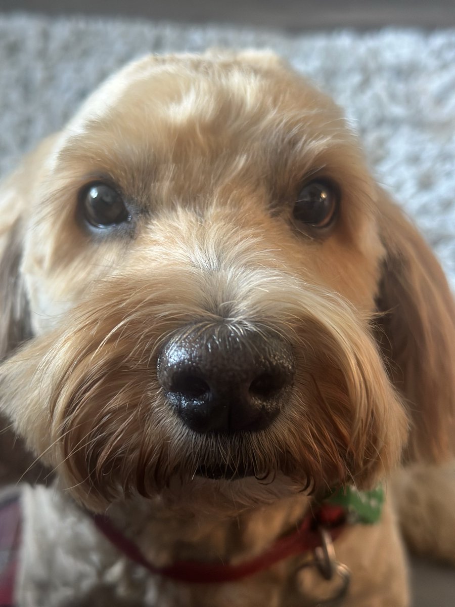 💙Ashleymadblue ⭐️⭐️ tweet media