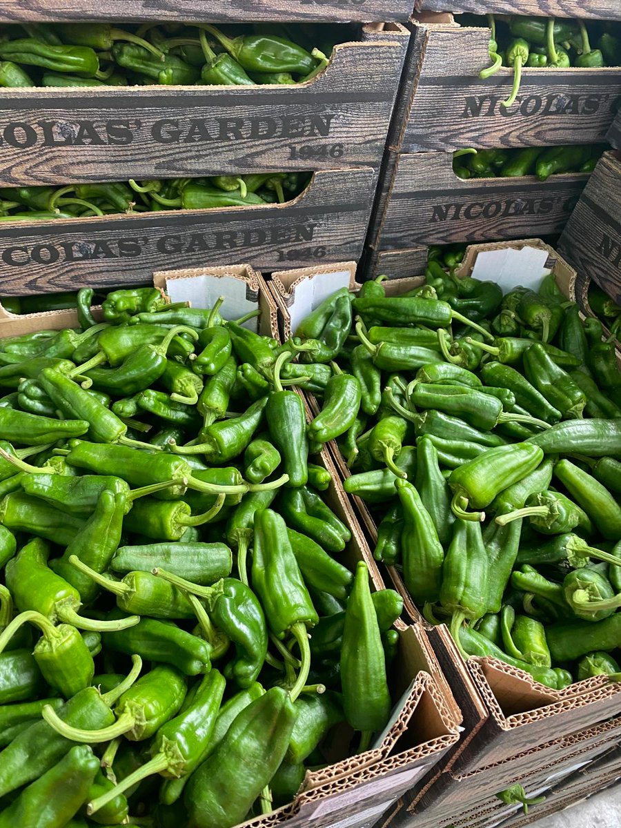 Nicolas Garden Red Chillies🌶️ &amp; Padron Peppers 🫑now with us!🚛 Place your order📞 and start enjoying them! 😋 #Pepperfectness #NicolasGarden #Chillicious