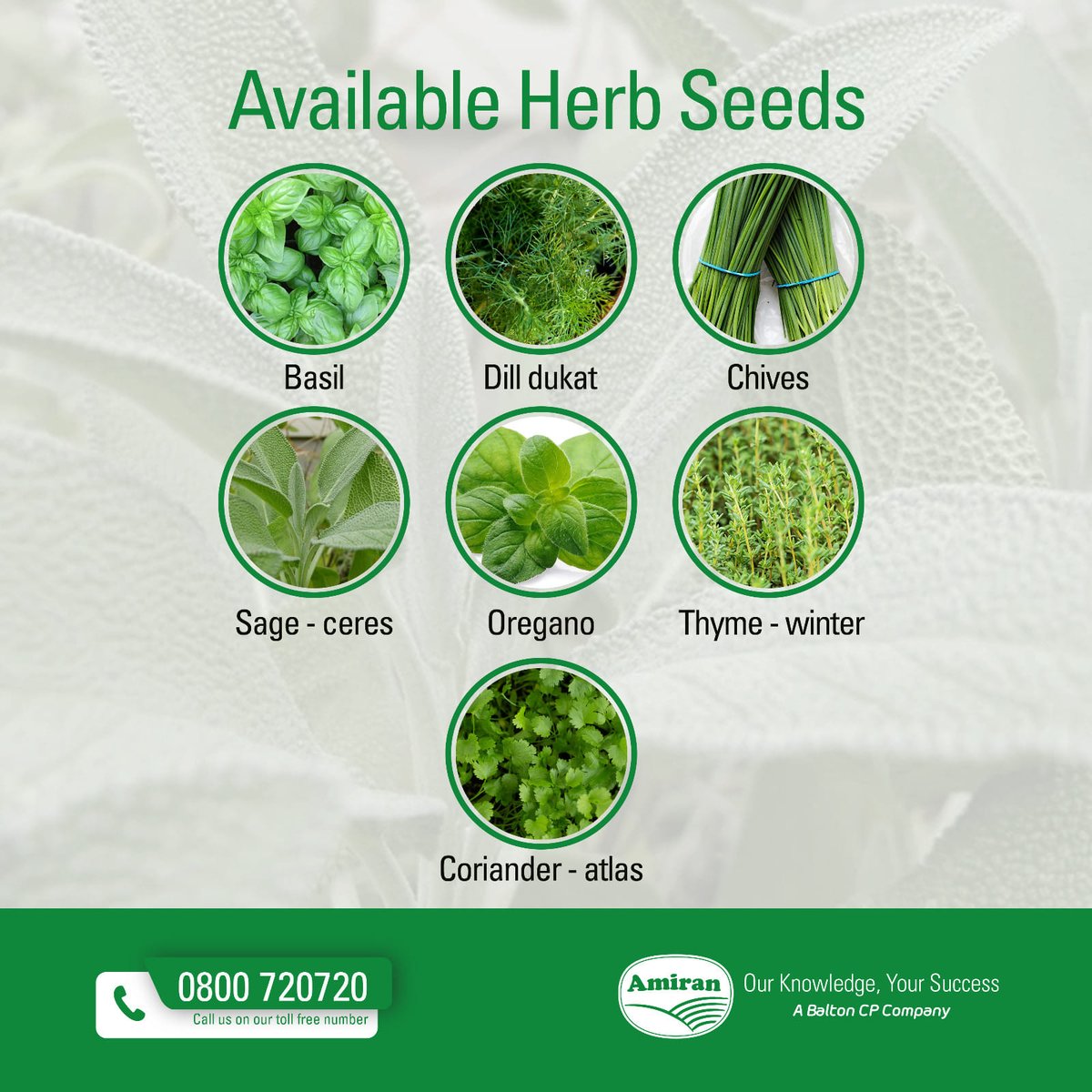 Herbs are the quintessential plant: they look good, smell good and do you good. They have been used ever since humans have been on the earth, as medicines, perfumes, insect repellents and, of course, in food and flavouring. Amiran ensures value and success in the herbs seeds