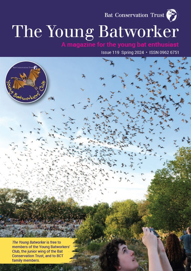 We hope our members have been enjoying their Spring edition magazines, we have already started on the summer issue. Family and life members receive both magazines three times a year bats.org.uk/support-bats/b…