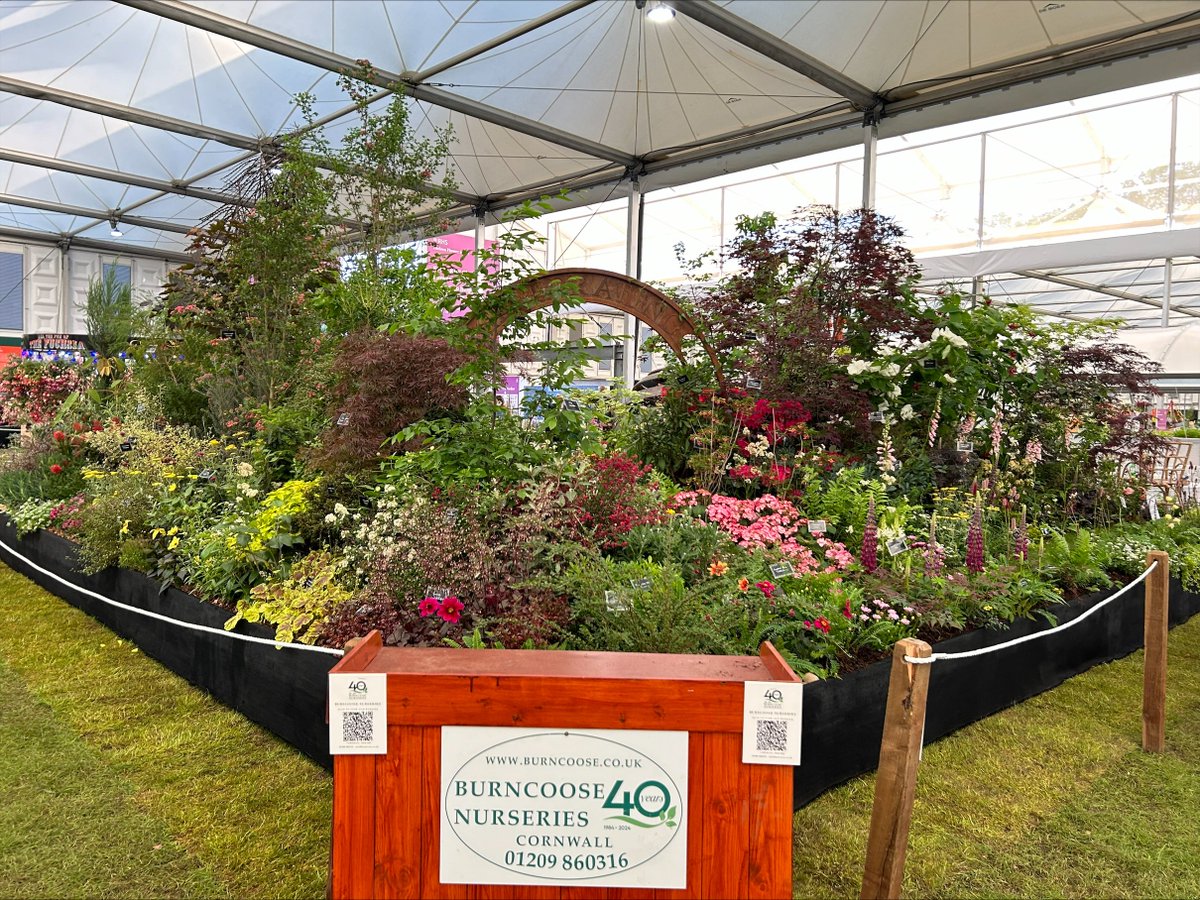 Burncoose Nurseries® tweet media