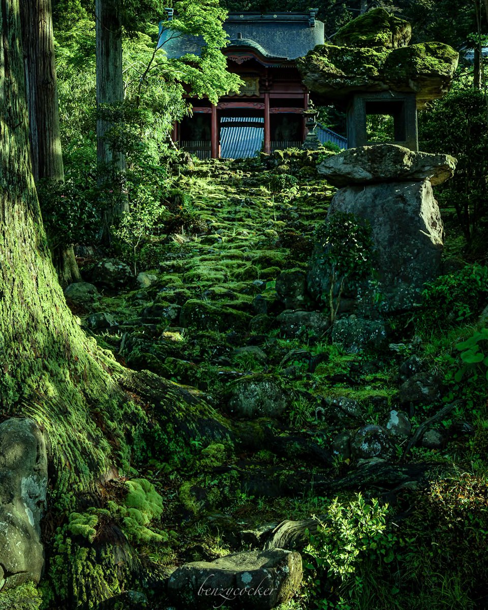 鳥海山麓にあるお寺の苔石参道と山門