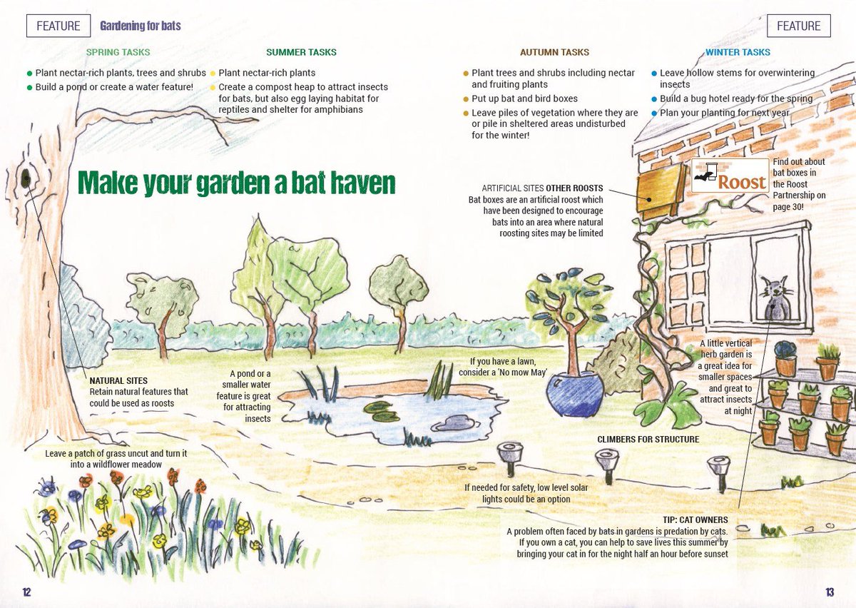 Anyone visiting #RHSChelsea? Remember to look out for bat friendly features in the #gardens. This drawing from the latest issue of Bat News magazine highlights some of the things to look out for. Bat friendly gardens can play an important role in helping wildlife.