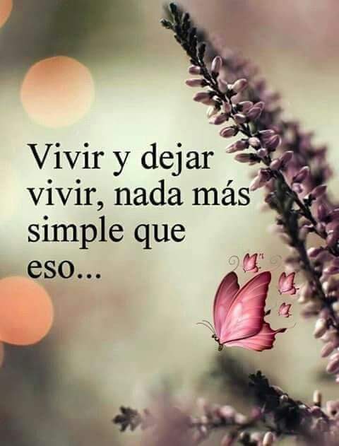 VidaEquilibrada (@vidaequilibrad4) on Twitter photo 