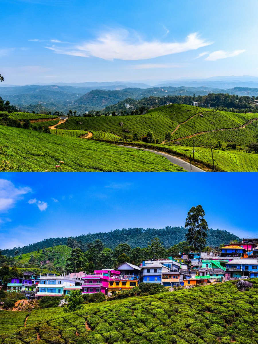 Munnar Tea Garden, Kerala, India 🇮🇳 #InternationalTeaDay
