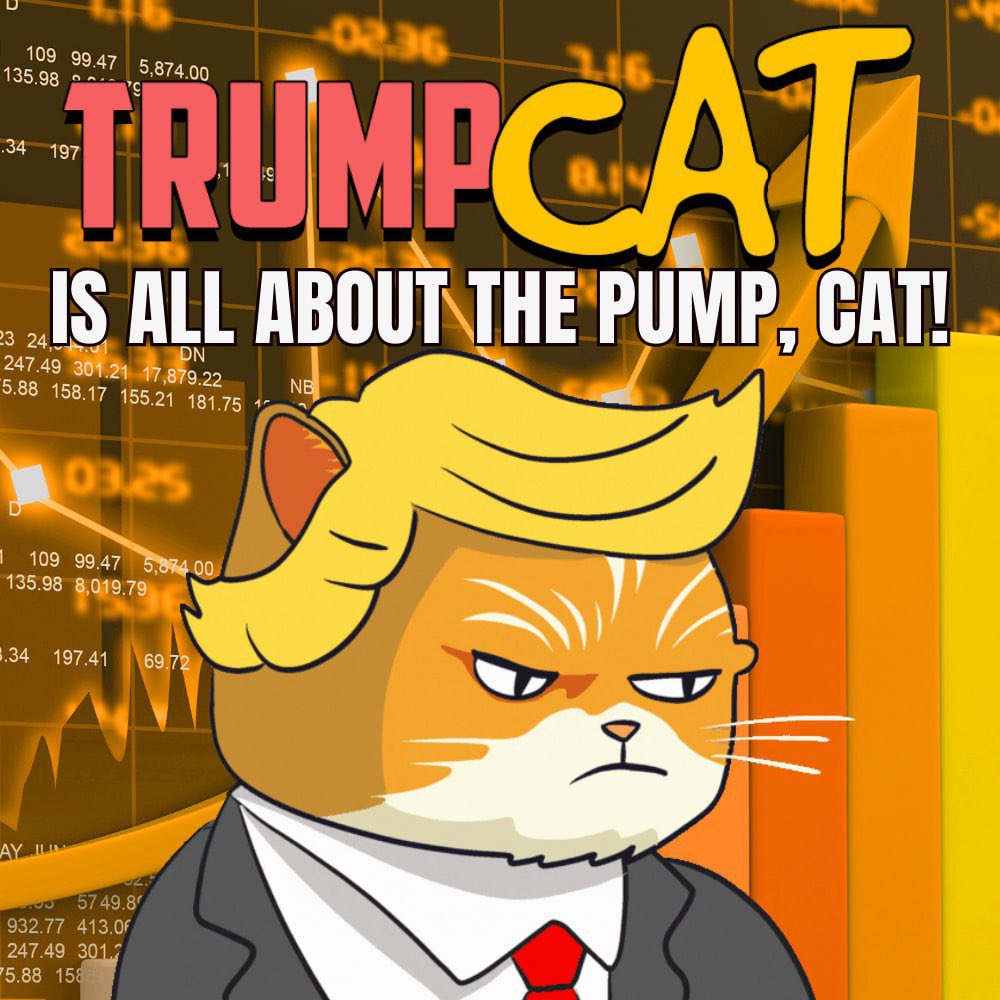 Trump Cat tweet media