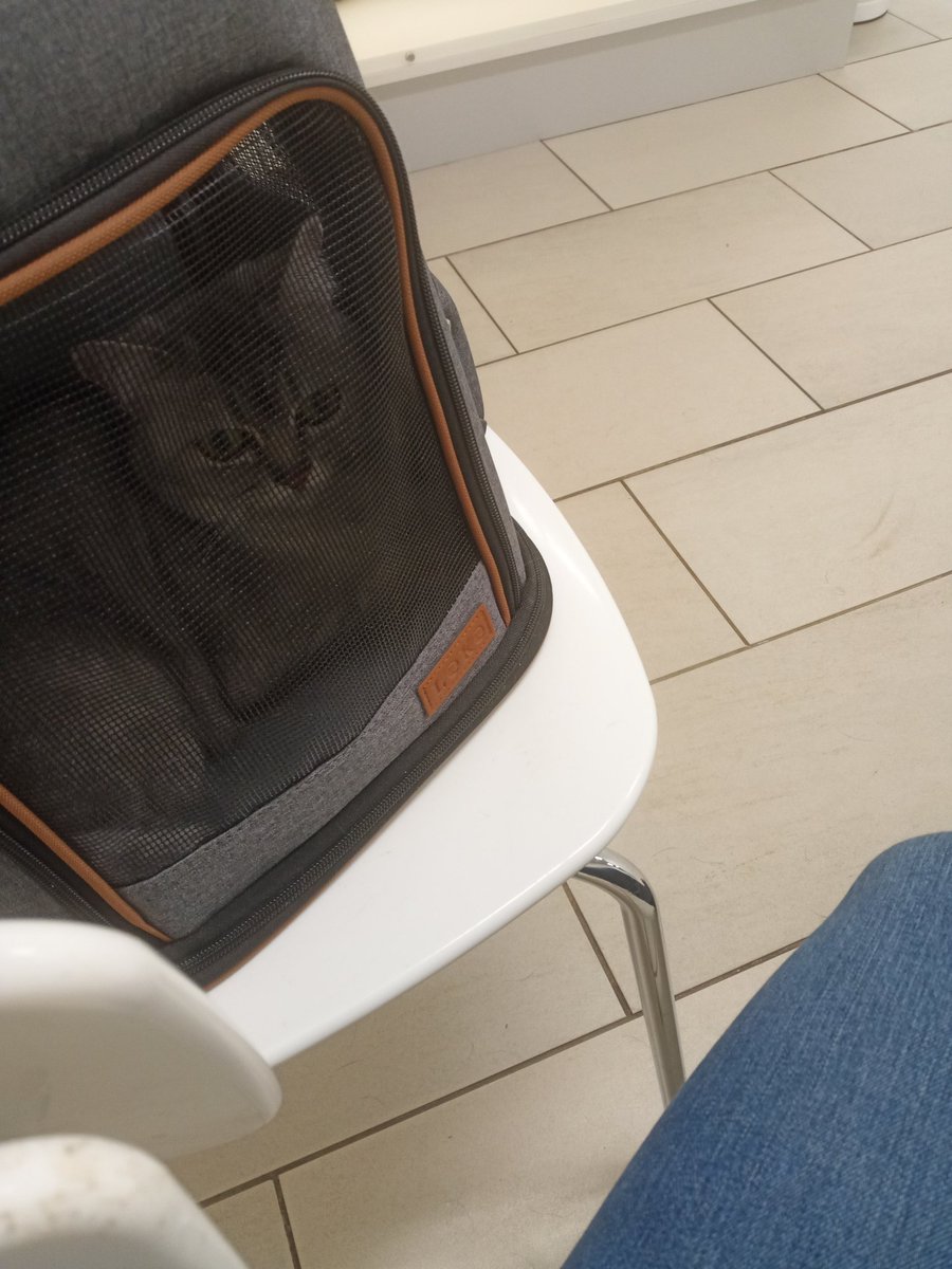 Cunctor's tweet image. #Katziwazifubo