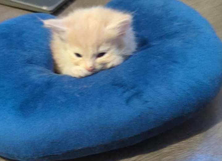 Amanda🫧🖤 tweet media