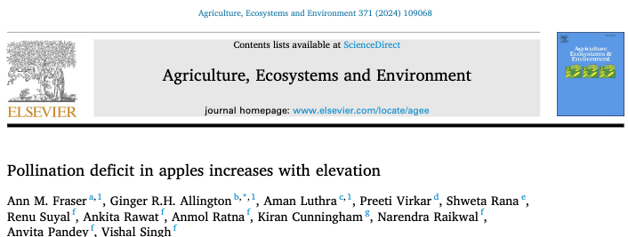 gigi_rose's tweet photo. The latest paper from our #PollinatorCommons project is out just in time for #WorldBeeDay
Wish it was better news!
Apple production is shifting upslope in northern India bc of warming temps, but pollination services aren't keeping up.
https://t.co/S7XrkhUdBR https://t.co/BzQJGHkDzb