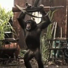 <a href="/lennoxxcartel/">LennoX Cartel</a> #ApeWifAK is the next 100X Ape Meme🥱👀 Where are my fellow apes at?🦧