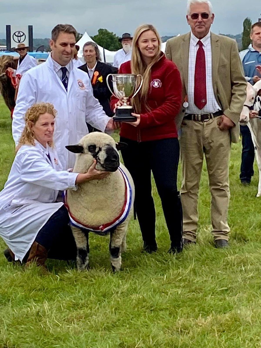 SEMEN AVAILABLE at the Premier Sale Saturday 25th May 2024 Halls Livestock and Machinery Sales, 
Semen for sale Seawell Costcutter pictured below last year. 
Lots 114-116
ARR/ARR

Bidding online with MartEye
Shearlings to follow