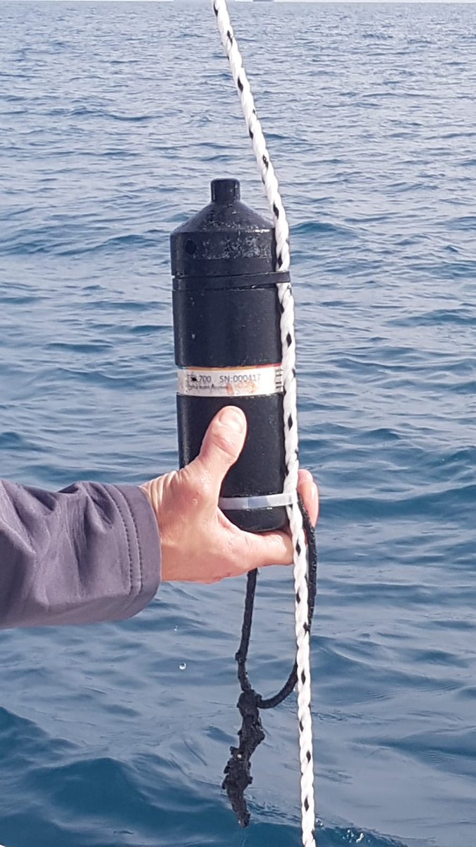 anl_Haifa's tweet image. In February 2022, our lab released two turtles to experiment with underwater acoustics to learn about the underwater acoustic behaviour of turtles.
#TechScience
#engineeringlife
#UnderwaterResearch
#MarineEngineering
#AcousticResearch
#OceanScience
#MarineBiology
