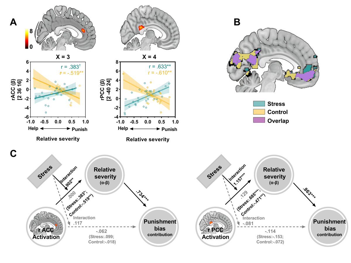 xiaoyanwuTwit's tweet image. I&apos;m excited to share our new study. We explored how acute stress affects altruistic behavior by computational modeling and fMRI. doi.org/10.1371/journa…] 🧠 #AltruisticBehavior
#ComputationalNeuroscience #DecisionMaking