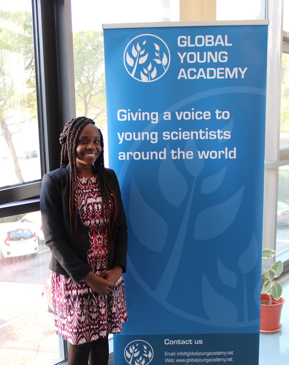 KANI’s Kolibea tweet media