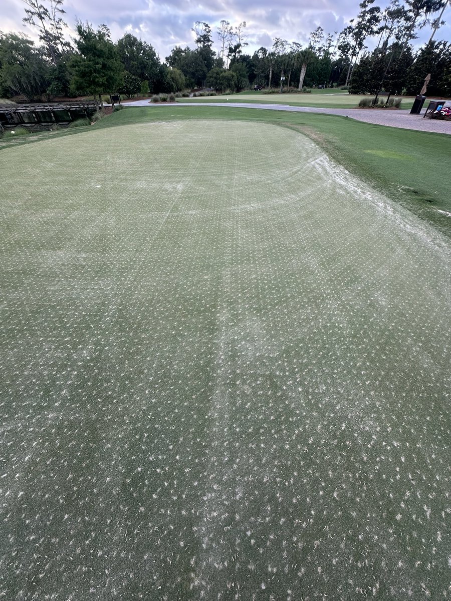 Frank E Sbarro tweet media