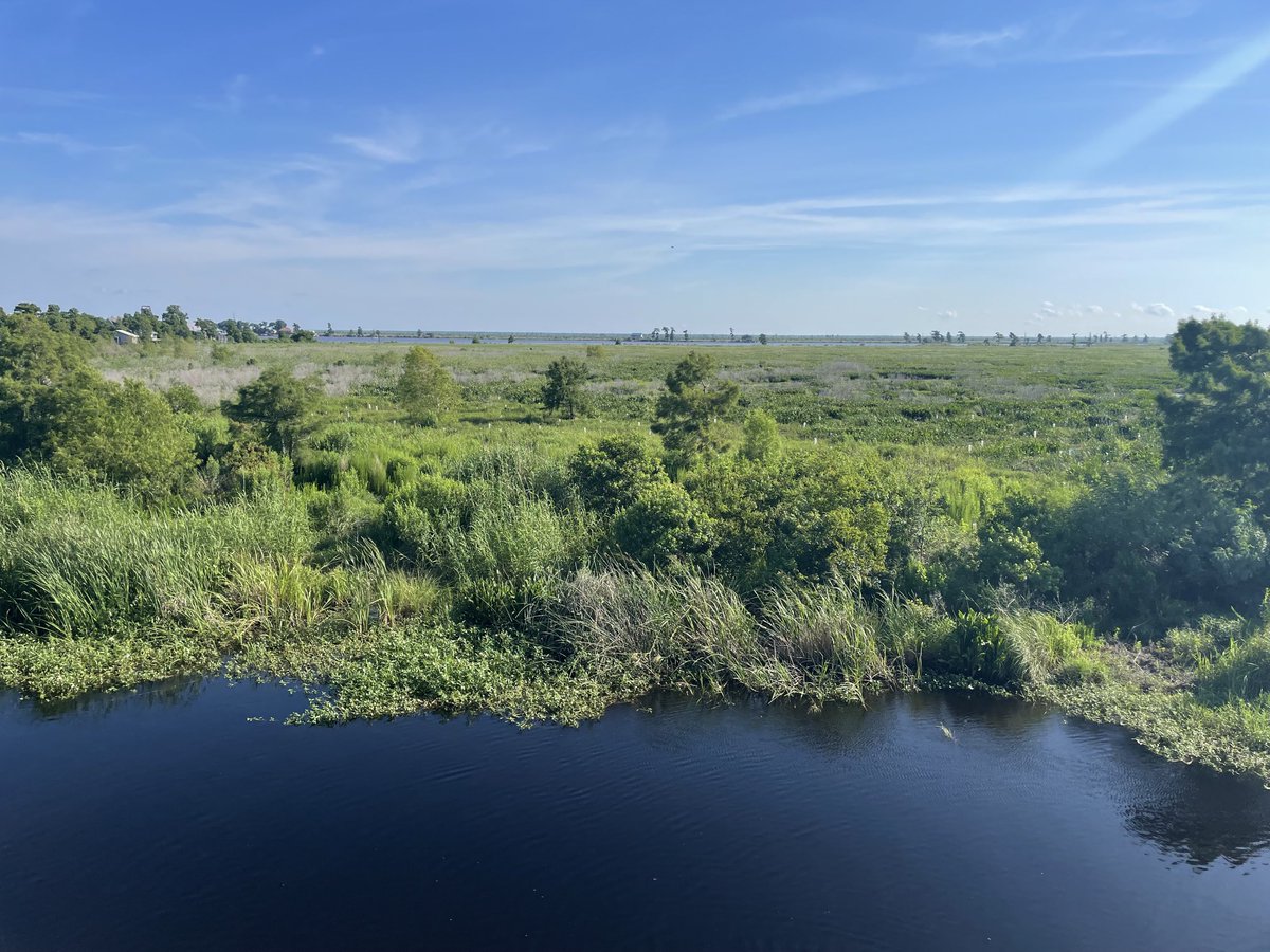 Dr. William S. Wainwright tweet media