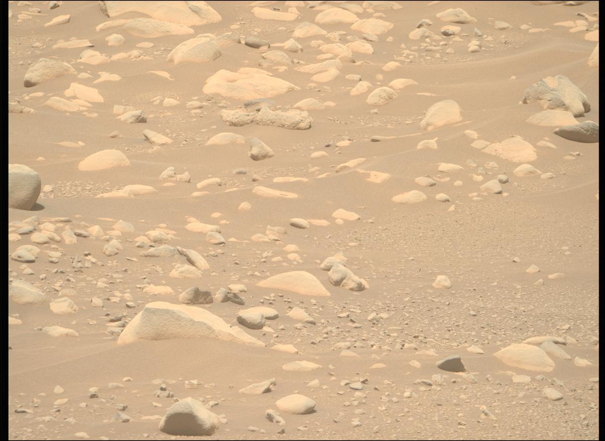 MarsMissionImgs's tweet photo. #PerseveranceRover image taken on #Sol873 at 12:37:59.982 PM with #MastcamZ #Mars #NASA #Space https://t.co/OrMzJMYewJ