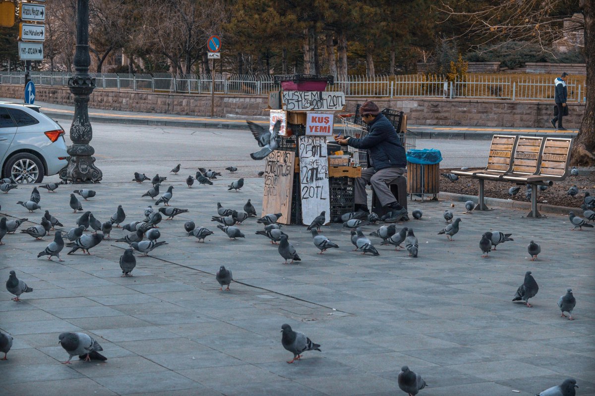 Pigeon care 

#birds #featheredmates #bird #birdphotography #birdphotography #birds_captures #birdphotography #birding #birdhead #birdcare #birdcaptures #birdsounds #birdphoto #petbird #petbirds #featheredfriends #featheredmate #featheredmates #pigeon #pigeons