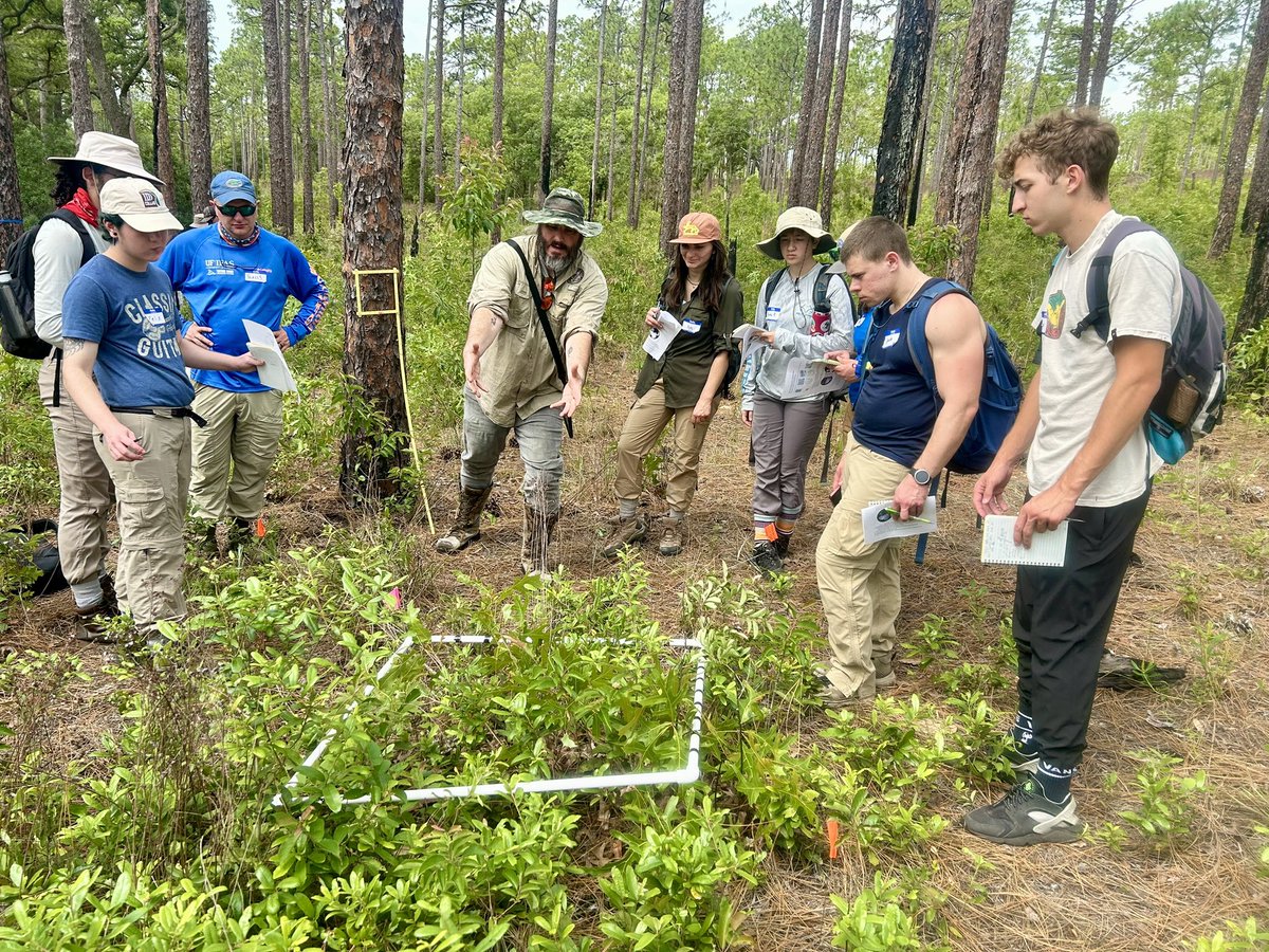 mhallett2320's tweet photo. MASSIVE thank you to Johanna, Bailey, Shawn, and Amber from @MyFWC Research Institute #FWRI Terrestrial Habitat team for sharing their amazing research expertise with our @UFWildlife Techniques students over the past three weeks… @UF_IFAS @UFCALS @UFatWork @UF #Ordway #plants https://t.co/SKwLu8kIll