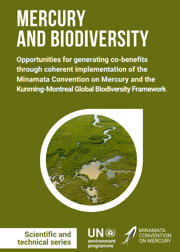 On this #BiodiversityDay, check out '#Mercury and #biodiversity' which explores the opportunities & major co-benefits of implementing the #MinamataConvention & the #BiodiversityPlan Available in English, French & Spanish 👉 bit.ly/MercuryBiodive… #MakeMercuryHistory