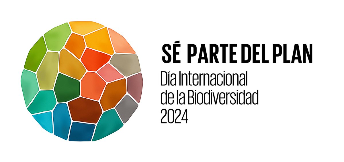 CCA_Espanol's tweet photo. 📢 "¡Sé #ParteDelPlan" para el #DíaDeLaBiodiversidad de este año! 🌎🌷🐬🦅🍃
🤝🌱 Obtén más información sobre la implementación del #PlanDeBiodiversidad de @UNBiodiversity y ve cómo frenar y revertir la pérdida de #biodiversidad.
👉 https://t.co/XRo6NxMYvX https://t.co/rXEWBnoQ88
