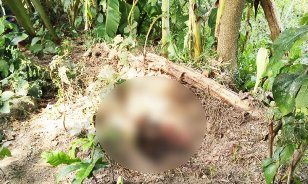 ময়মনসিংহে গর্ত থেকে দুই শিশু ও নারীর মরদেহ উদ্ধার