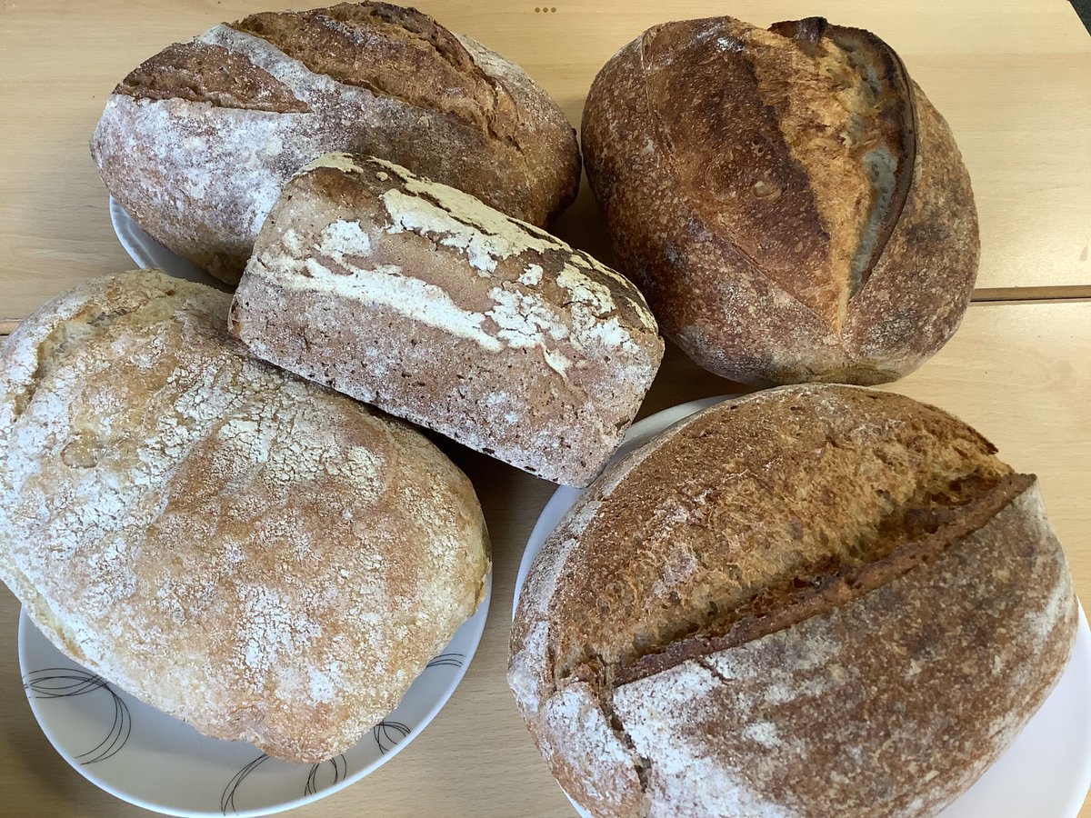 Manor Wood Primary tweet media