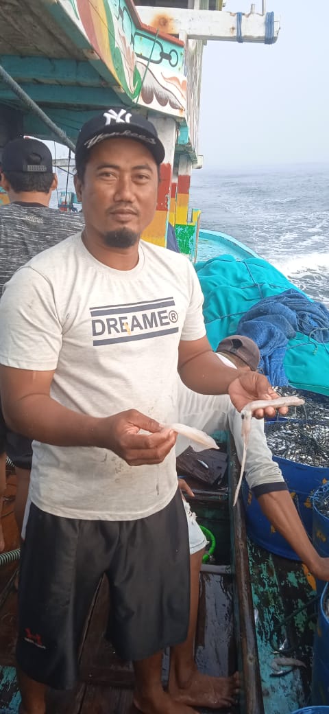 patria_ibi's tweet photo. Selasa (21/05), Ibi Patria, S.Pi, Luhkan Kab. Jember, Ds Puger Kulon, melaporkan tangkapan Nelayan an. Fathullah, KUB Sumber Makmur, Layang Benggol 3 ton (Rp. 8000/kg) dan  Cumi 200 kg (50.000/kg), Alat tangkap Payang
#GiatluhsatminkalBwi #Jember #tangkap https://t.co/Gwb8Ddjd8o