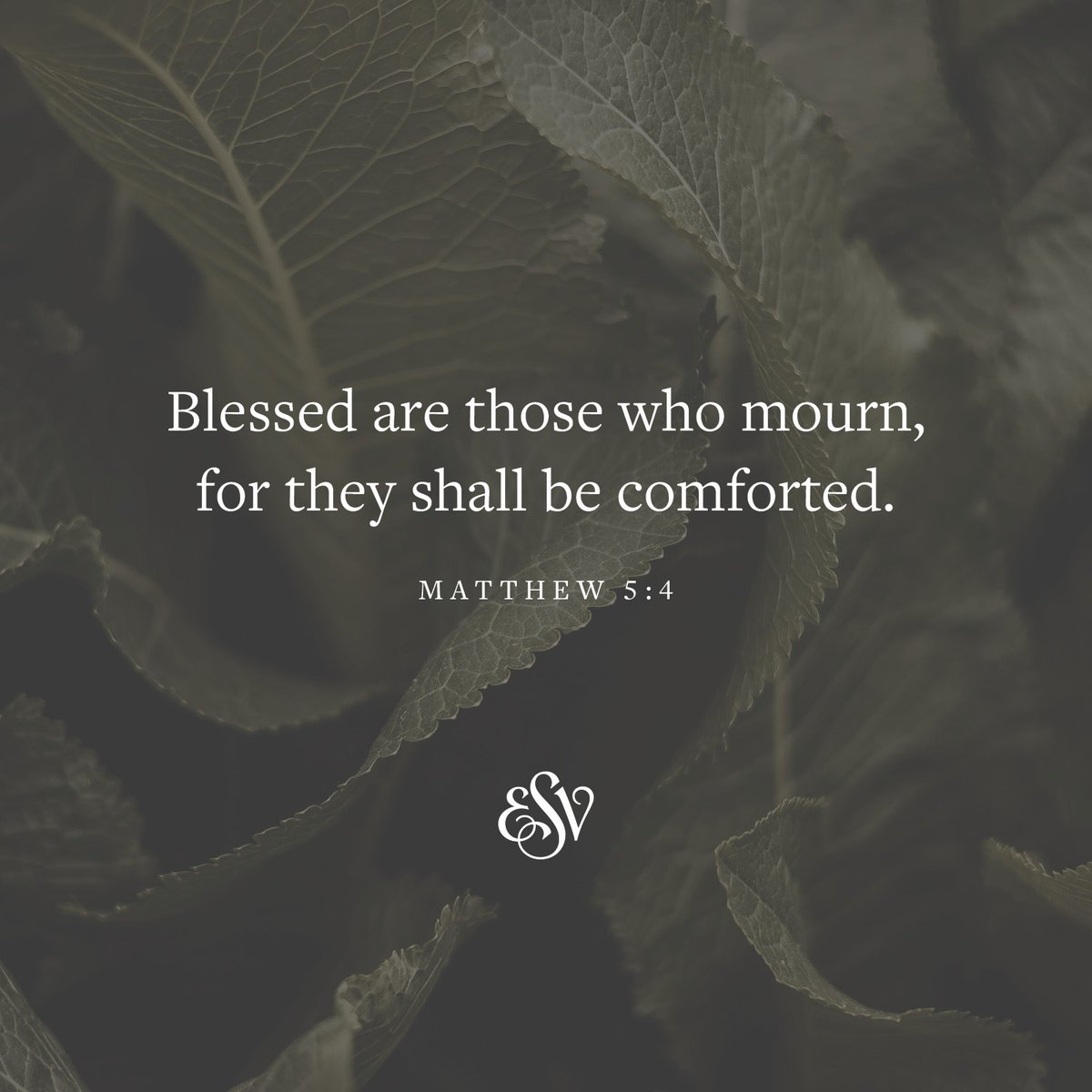 Blessed are those who mourn, for they shall be comforted. —Matthew 5:4 ESV.org #Verseoftheday #Bible #Scripturememoryverse #ESV