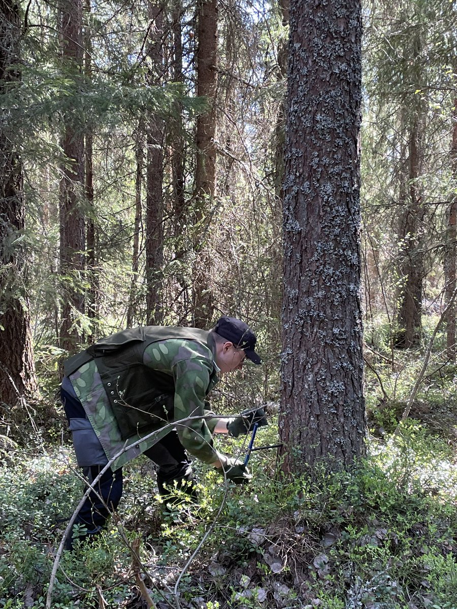 Tänään oli ☀️maastopäivä 🌲<a href="/Metsahallitus/">Metsähallitus</a> #Metsätalous Oy:n monikäyttömetsissä Parkanon lähistöllä. Osaavien metsäasiantuntijoiden tekemien suunnitelmien pohjalta oli antoisaa keskustella &amp; sparrata puolin ja toisin näkemyksistä sidosryhmän kanssa #osaaminen  #monimuotoisuus