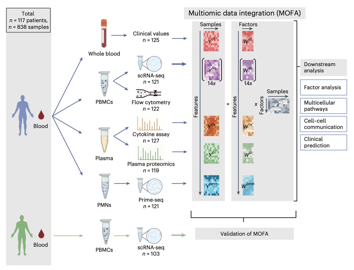 We've underestimated the role and activation of the immune system in patients with heart attacks. A comprehensive multi-omic analysis uncovers the role of T cells and monocytes nature.com/articles/s4159… @NatureMedicine @KPekayvaz @LMU_Uniklinikum and colleagues