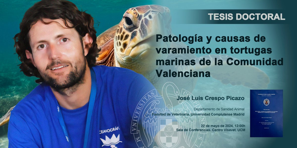 Tesis doctoral. Patología y causas de varamiento en tortugas marinas de la Comunidad Valenciana.
José Luis Crespo Picazo. 
22/05/2024. 12:00h. Sala de Conferencias. VISAVET 
visavet.es/es/patologia-y…