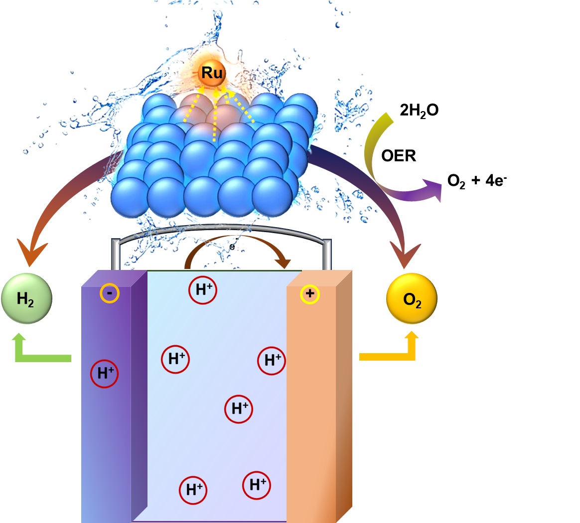 Happy to share the recent work of Dr. Ujjwal Pal on 'Atomically dispersed Ru sites on MOF-derived NC-ZnO for efficient oxygen evolution reaction in acid media' published in RSC JMC-A. doi.org/10.1039/D4TA00… @CSIR_IND @DrNKalaiselvi @CSIR_NIScPR @AcSIR_India