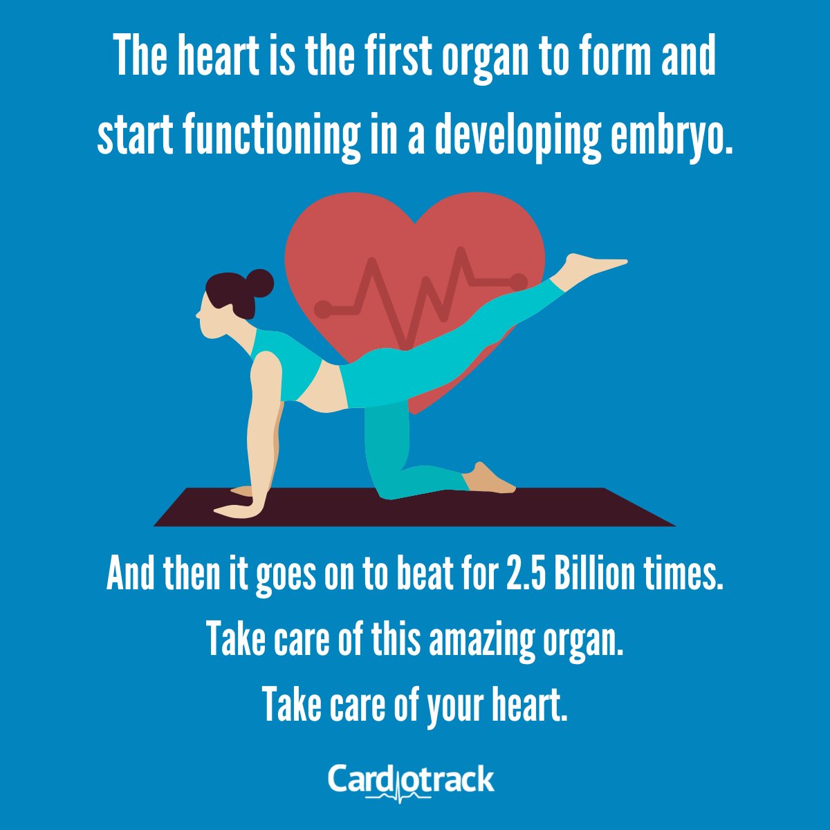 cardiotrak's tweet photo. #ethicalhealthcare
innovation@cardiotrack.io https://t.co/WNpc8dhOaL