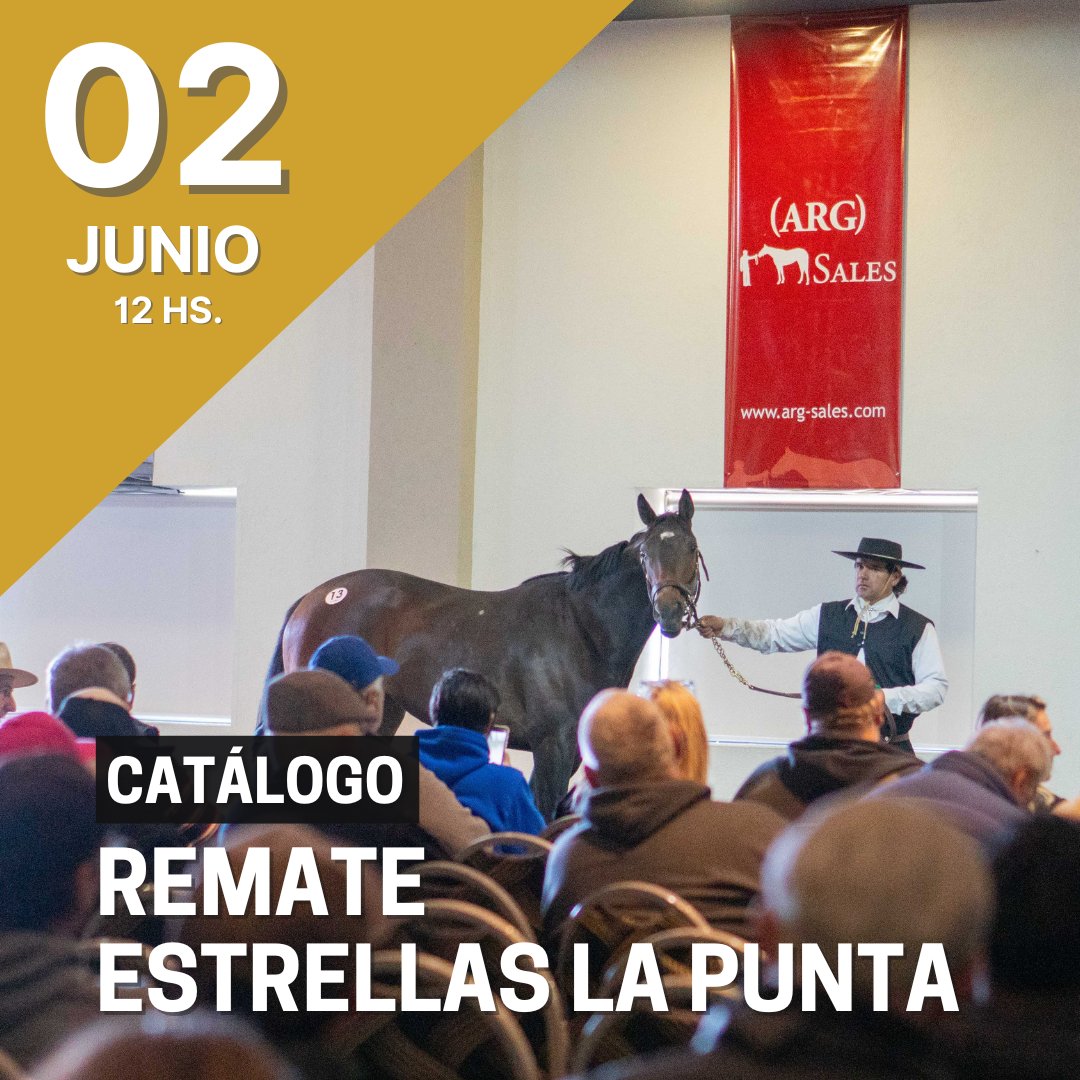 HIPODROMO LA PUNTA tweet media